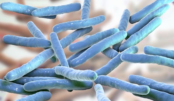 Pojava gube na Balkanu