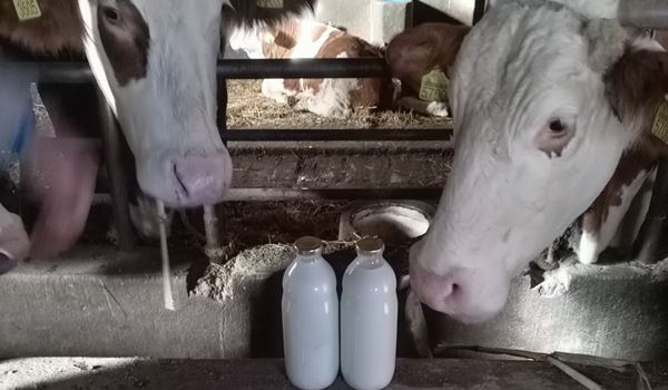 Zaštita domaćeg mleka od uvoza